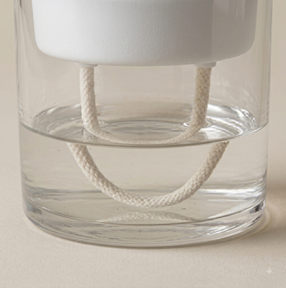 FloraHydra Self Watering Planter