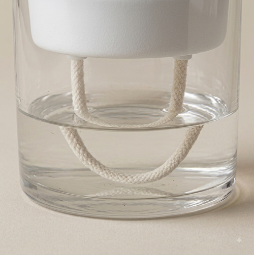FloraHydra Self Watering Planter